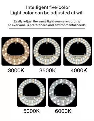 Lampu Panel LED Bulat 24W Bersertifikasi ERP ETL dengan CCT yang Dapat Disesuaikan